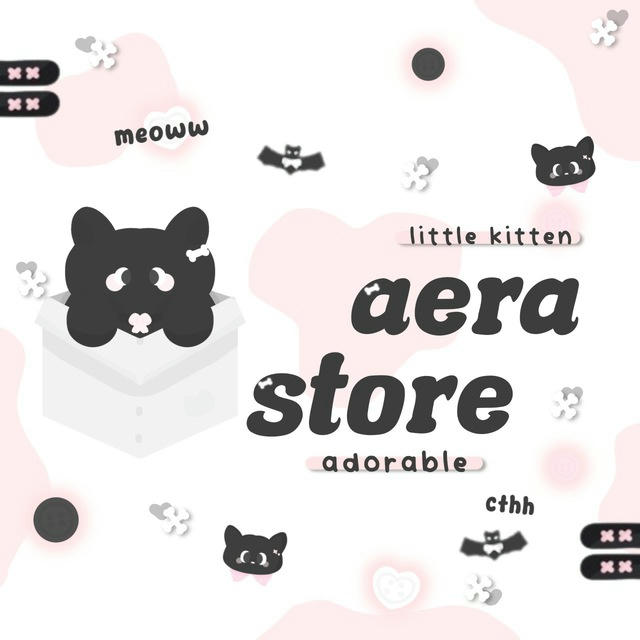 ₊˚ʚ ᗢ₊ 🐈‍⬛ a𝐞ra store || check pinned