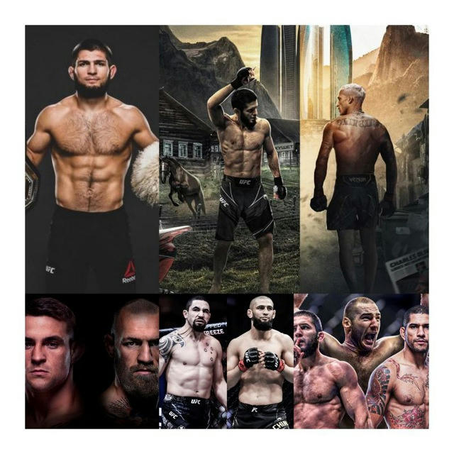 UFC MMA