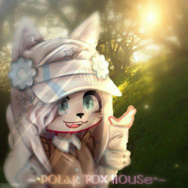 ~•Polar Fox House•~
