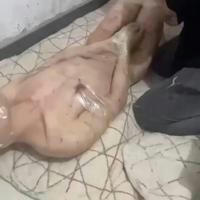缅甸猪仔充电群