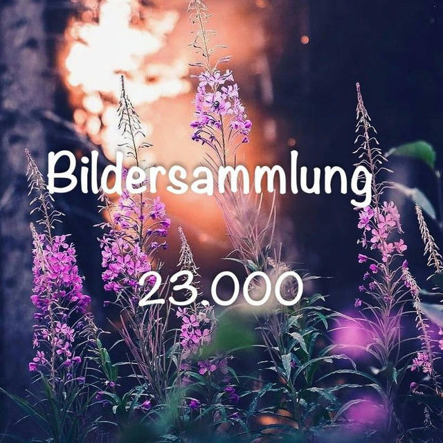 Bildersammlung