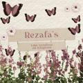 Rezafa's, Open!