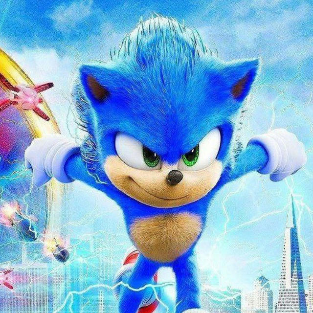 Sonic the Hedgehog 2 in hindi | Sonic 2 in Hindi
