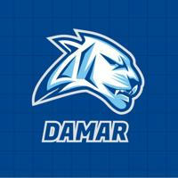 ستور🦅 DAMAR🔥