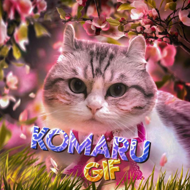 Komaru ~ GIF
