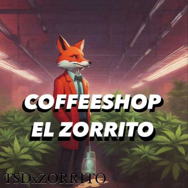 Coffeeshop El Zorrito X TSD