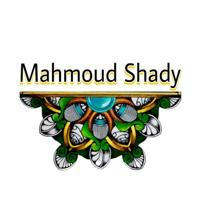 Dr. Mahmoud Shady