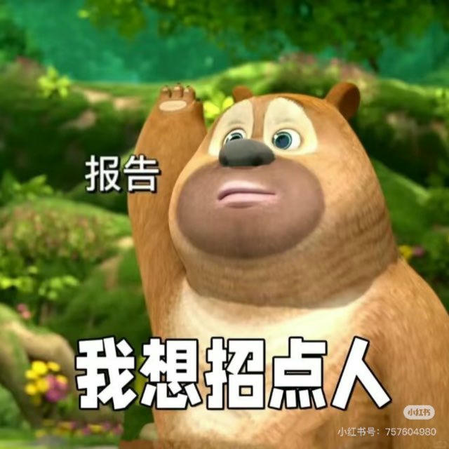远程/到岗技术招聘求职IT群