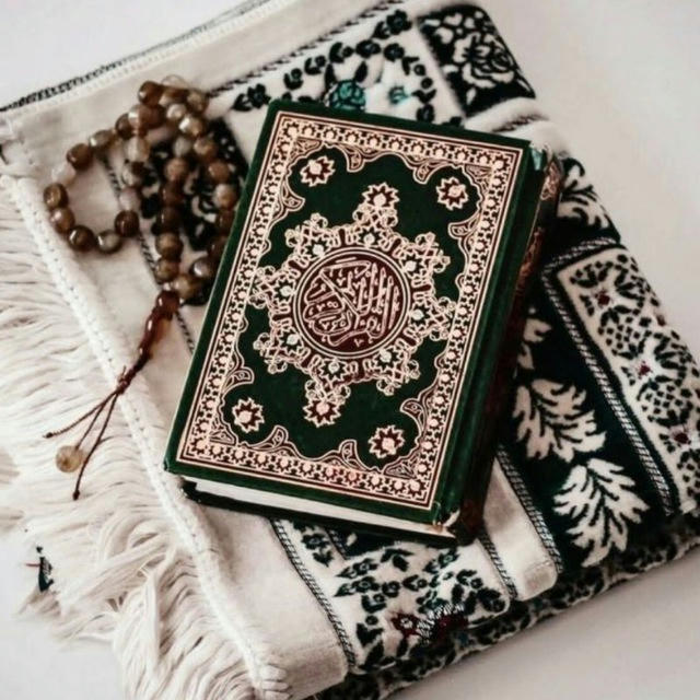 القرآن الكريم🕊
