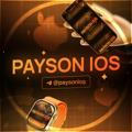 🍏PAYSON IOS