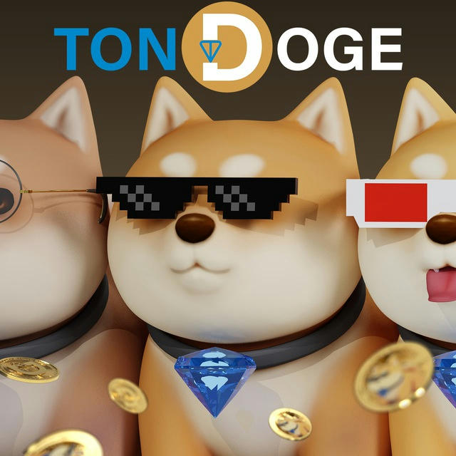 TON DOGE COIN & NFT 🇺🇸EN