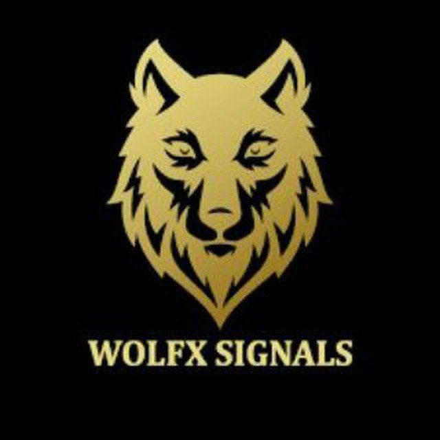 WOLF FOREX TRADERS