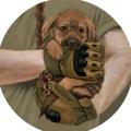 ИГ «Спасение собак на войне»