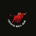 Crypto bull run