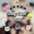 Stray Kids, we love you 💗