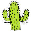Cactus atacama / کاکتوس آتاکاما
