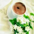 قهوة_Coffee ☕🤎