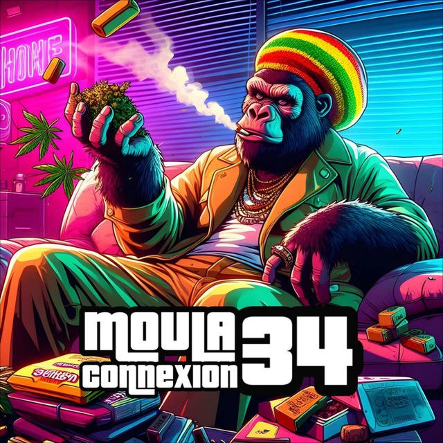 Moula Connexion 34 🇺🇸🇪🇸🇲🇦🇳🇱