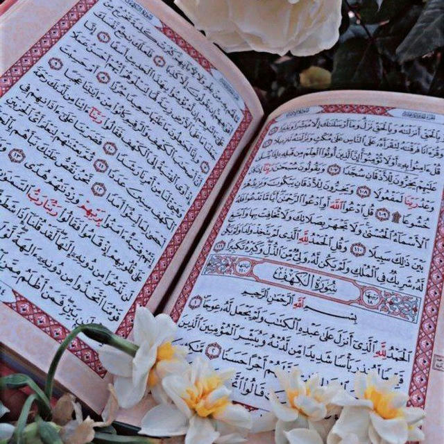 الإسلام حياتي💗