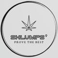 Shlumps’ Dispensary