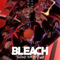 Bleach: Thousand-Year Blood War Arc 720p 1080p sub dub dual