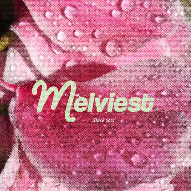 ⓘ 911-MELVIEST! 𓂋˚ཫ