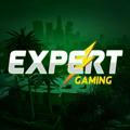 🔥EXPERT GAMING 🔥