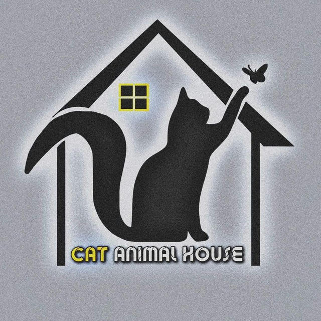 Cat Animal House