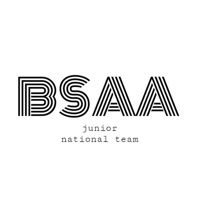 BSAA | volleyball club