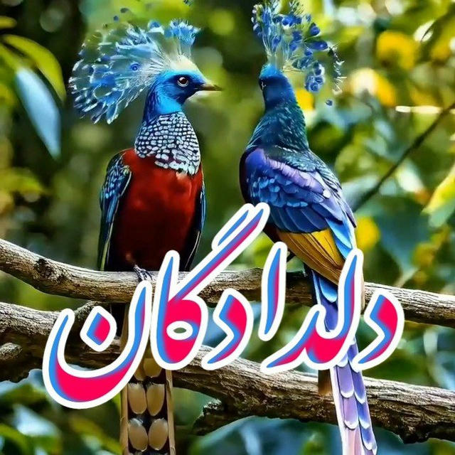 💞💞د۠۠لـ‌ــؒؔـ‌ـد۠۠اؒؔد۠۠گـ‌ــؒؔـ‌ـاؒؔن💞💞