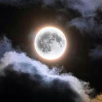 Moon light 🤍