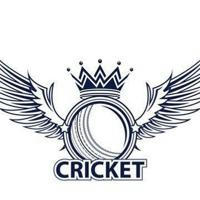 Cricket Sports News 🗞️