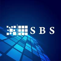 SBSConsulting_Team