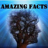 रोचक तथ्य (Rochak tathya/amazing facts) Amazing facts
