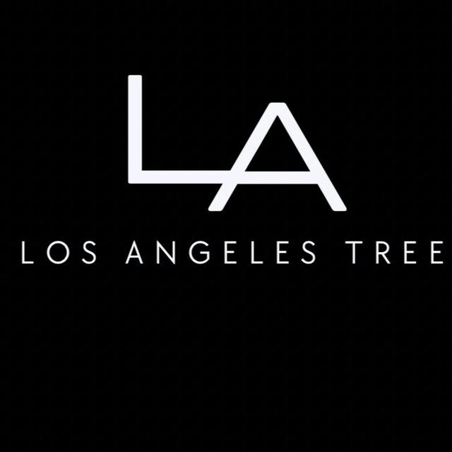 LOS ANGELES TREE 🌴