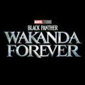 Black Panther ; Wakanda Forever (2022) Sub Indo