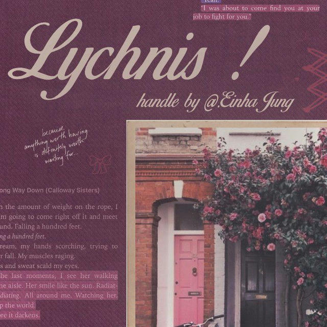 𖤝 ׂ ” lychnis - open with diskon “