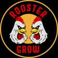 Rooster Grow Channel