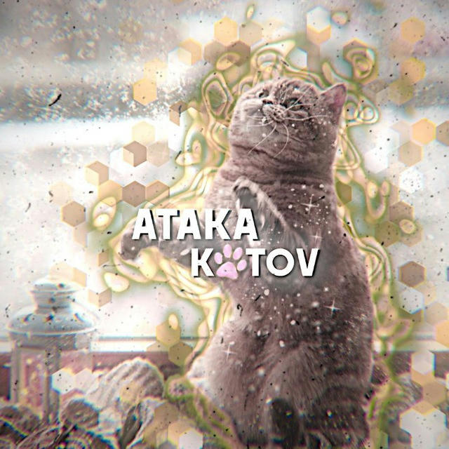 Атака Котов | Кот & Пёс