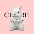 Clare Bunny ; Open.