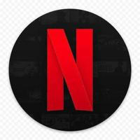 Netflix movies india