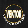 VEKTOR SCRIMS