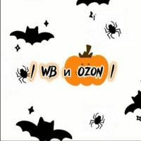| WB и Ozon |
