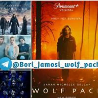 Tungi borilar | Wolf Pack | Riverdeyl seriali | Borilar Todasi | Rasmiy 🎥