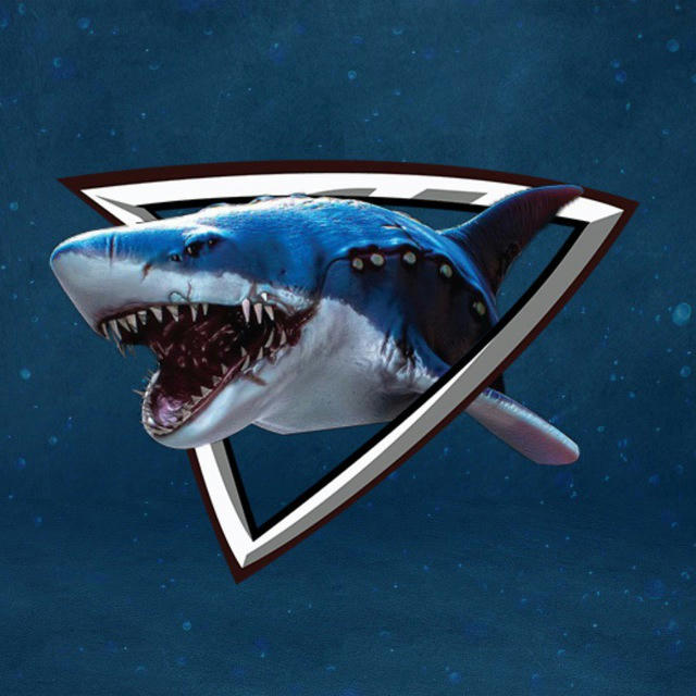 MegaLodon Futures 🐳