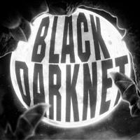 Black DarkNet Mister.Biznes
