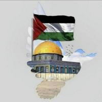 اخبار فلسطين مباشر غزه الان غزة (الاحتياطية)