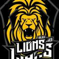 LIONS CONSULTORÍA ESPORTIVA