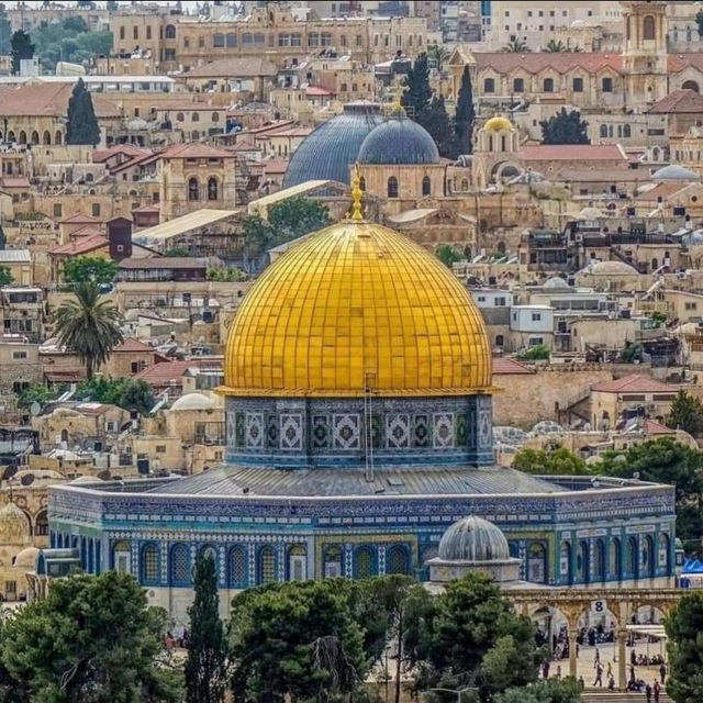 شباب الأقصى إبداع ثقافة جهاد القدس غزه الضفه ٤٨