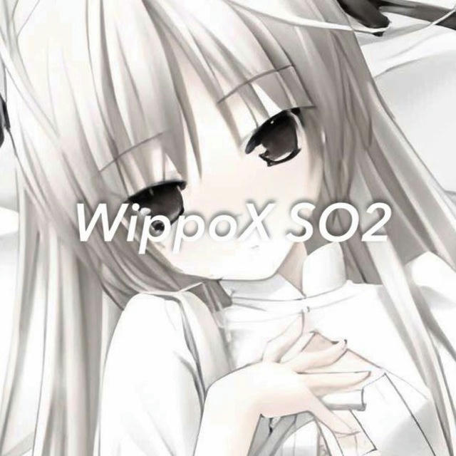 WippoX SO2 | DoxCommunity